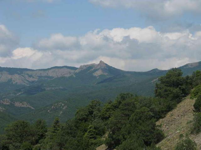 2010 1-ya smena Nastavnik 0056