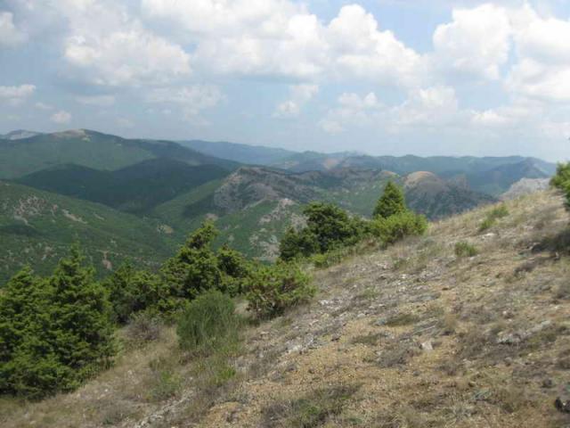 2011 tigrenok 2 smena 033