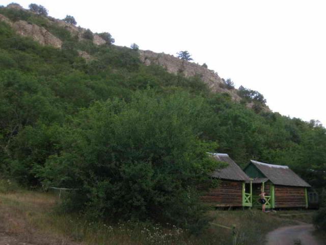 2011 tigrenok foto vitaliya shcherbiny 010