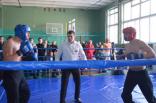 2014 yanv kikboksing wpka chempionat luganskoy obl 279