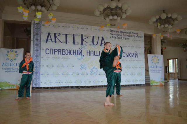 2017 apr artek.ua .serbin.gun-fu 264
