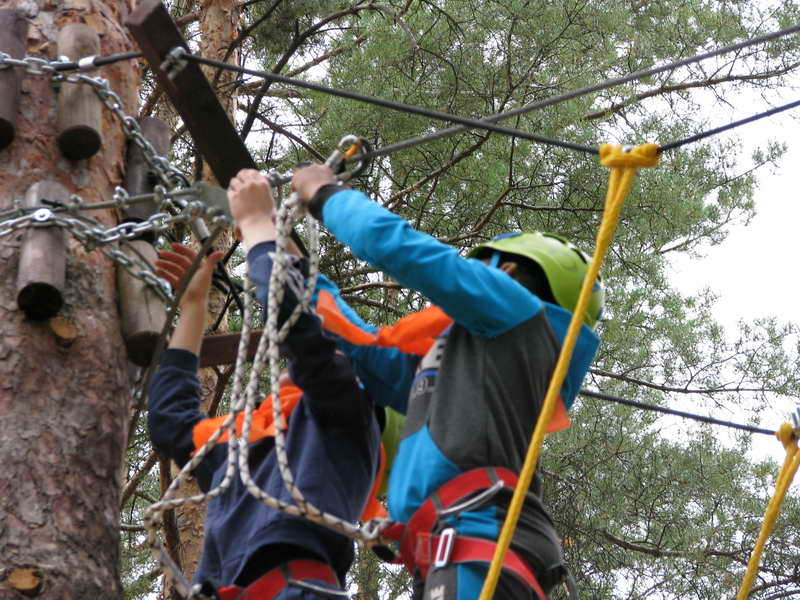 2019 5 smena tigrenka nastavnik 158