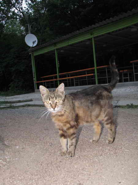 Dni podgotovki bazy Nastavnik 014