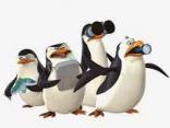 pingviny-kovalskiy.jpg